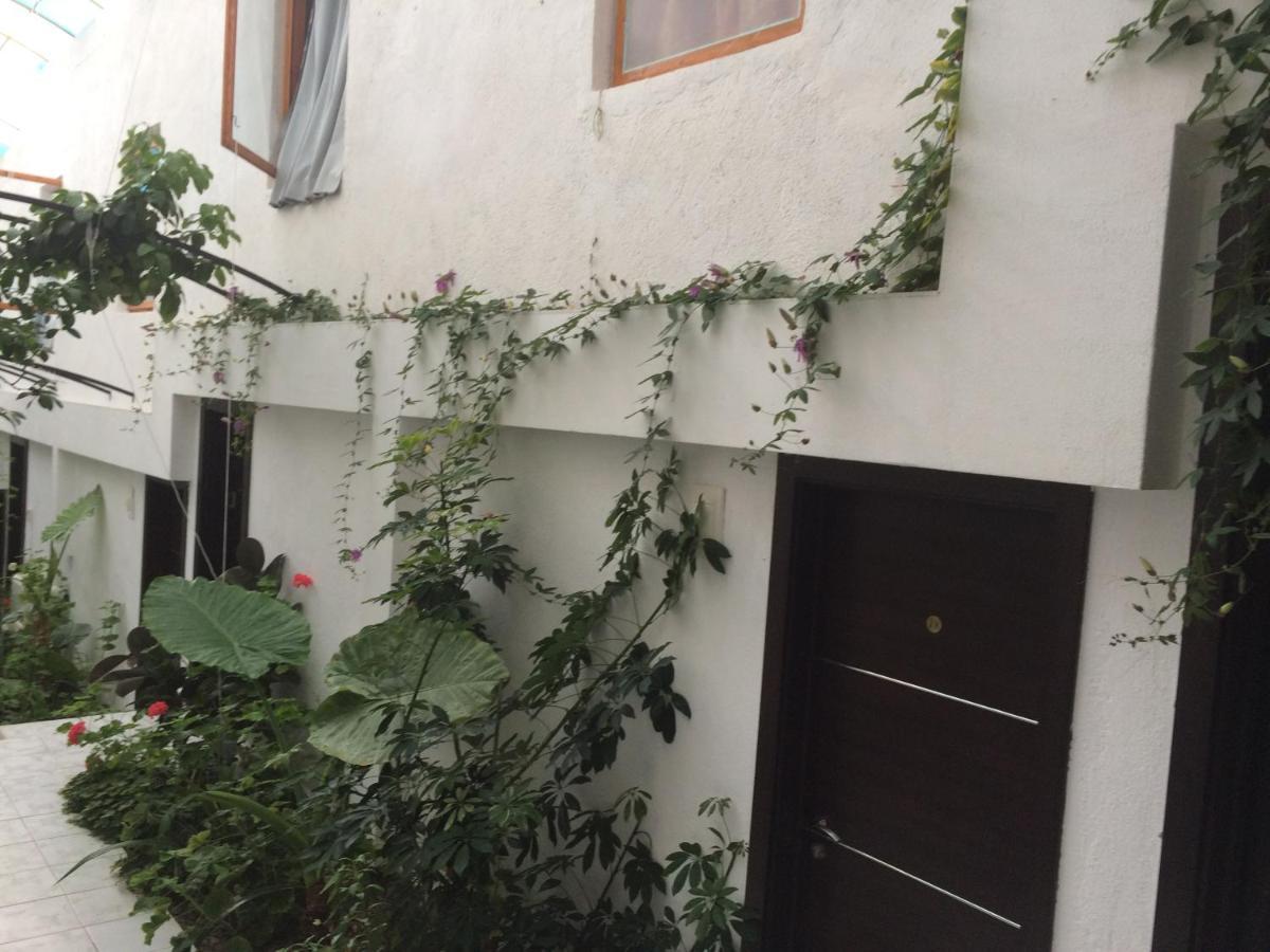 Family Hotel Belvedere Dŭlgopol Exterior photo
