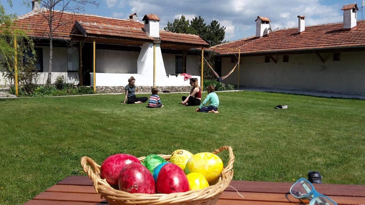 Family Hotel Belvedere Dŭlgopol Exterior photo